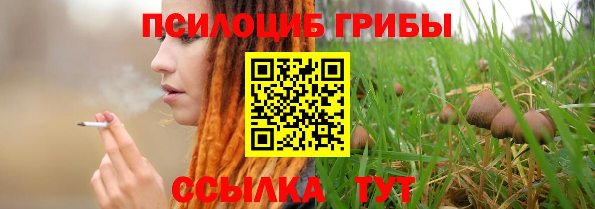 Галлюциногенные грибы GOLDEN TEACHER  Вход с VPN  Ухта  Галлюциногенные грибы Cubensis 